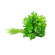 1 Bunch of Parsley  